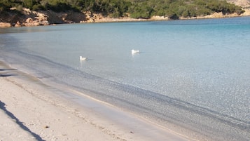 Beach nearby, white sand, beach bar