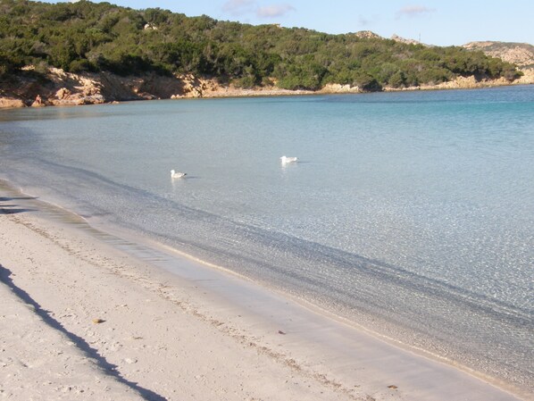 Pantai berhampiran, pasir putih, bar pantai