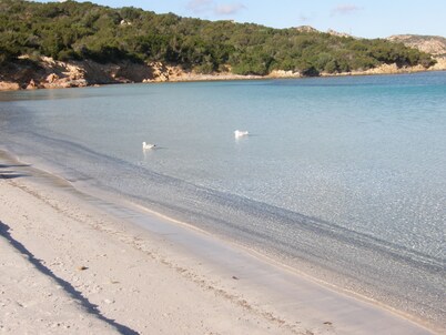 Appartamenti Paduledda