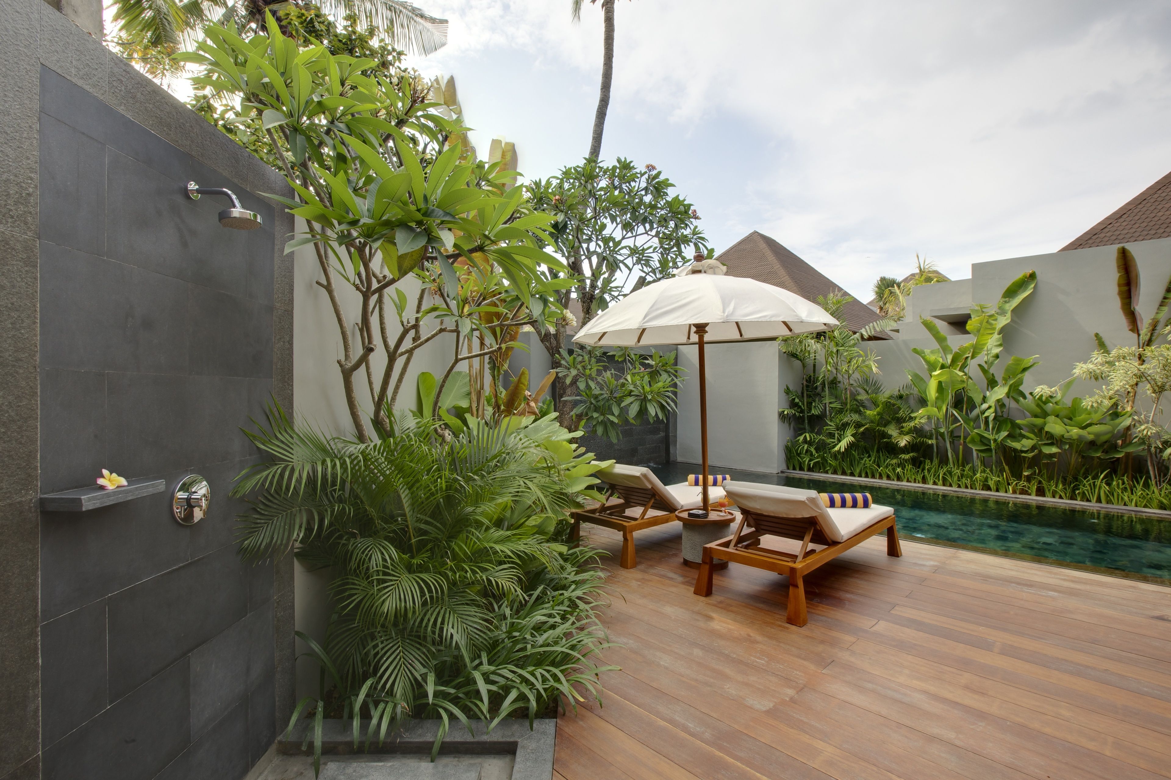 A modern outdoor area with a wooden deck, a pool, and lush greenery.