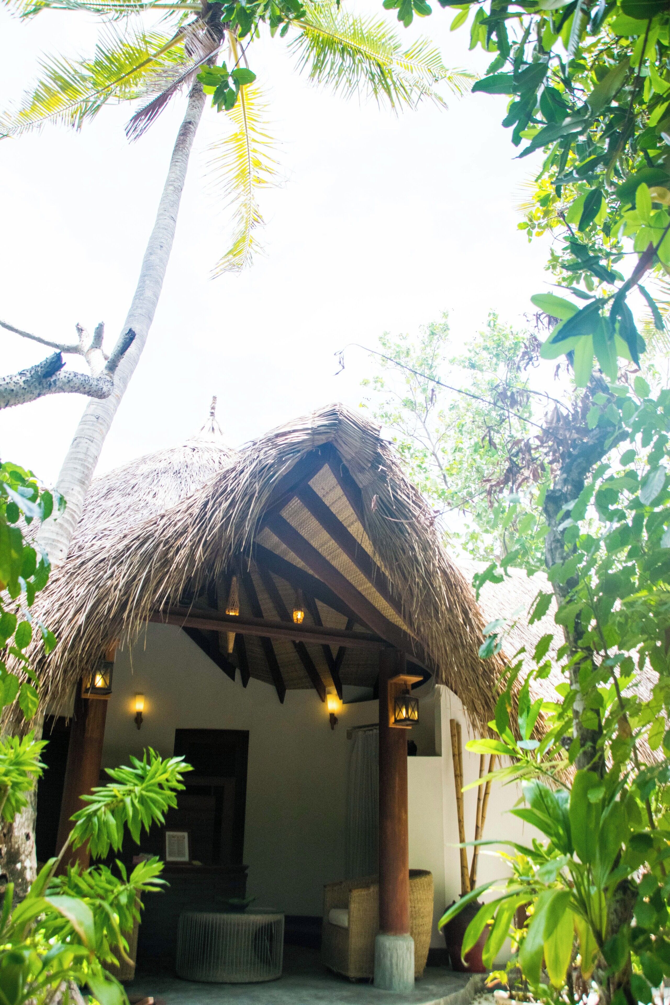 A thatched-roof hut with a wooden floor and a small porch, surrounded by lush greenery.