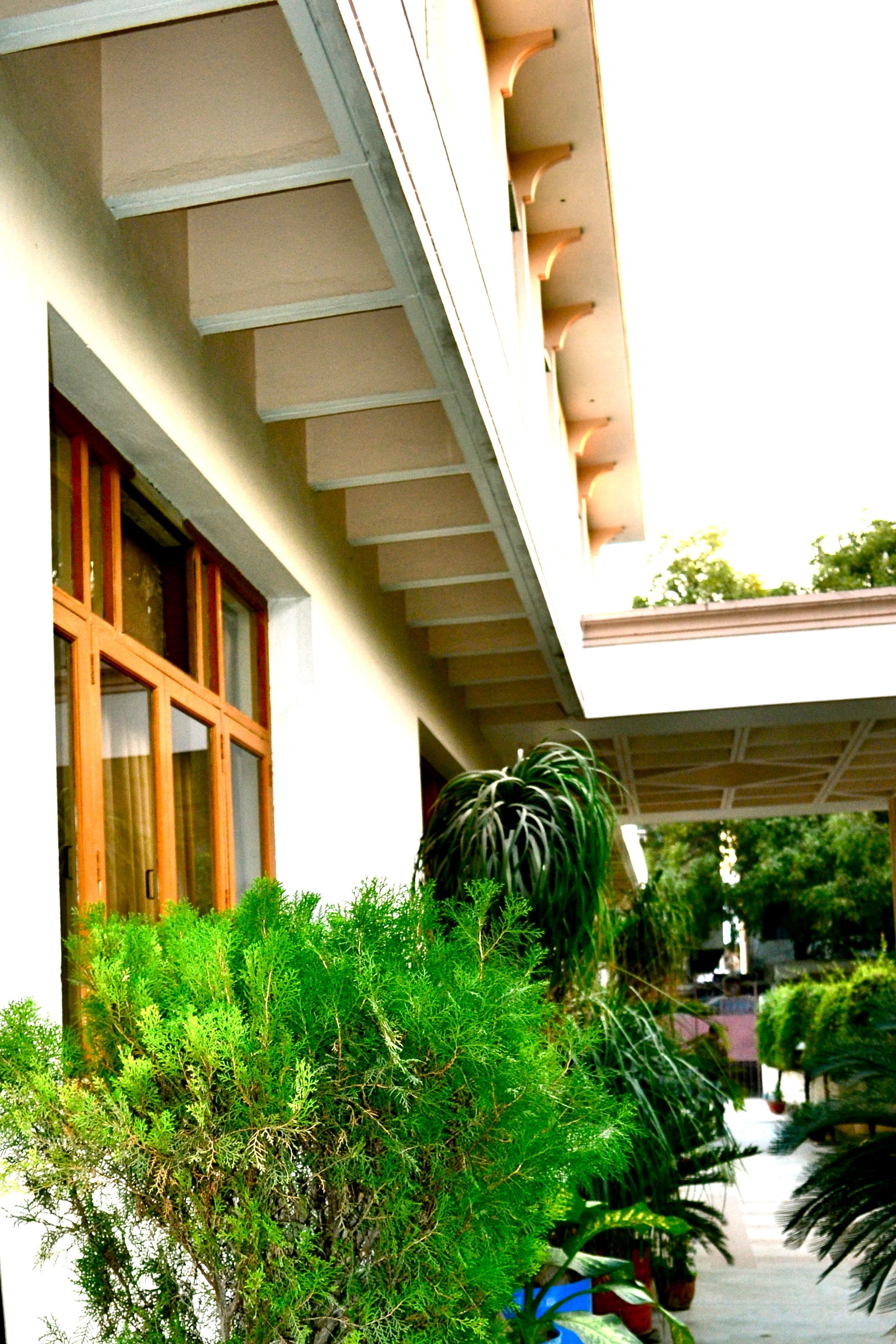 A building with a covered outdoor area, a window with wooden frames, and various green plants.