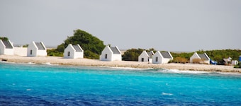 The Lodge Bonaire