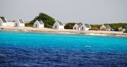 The Lodge Bonaire