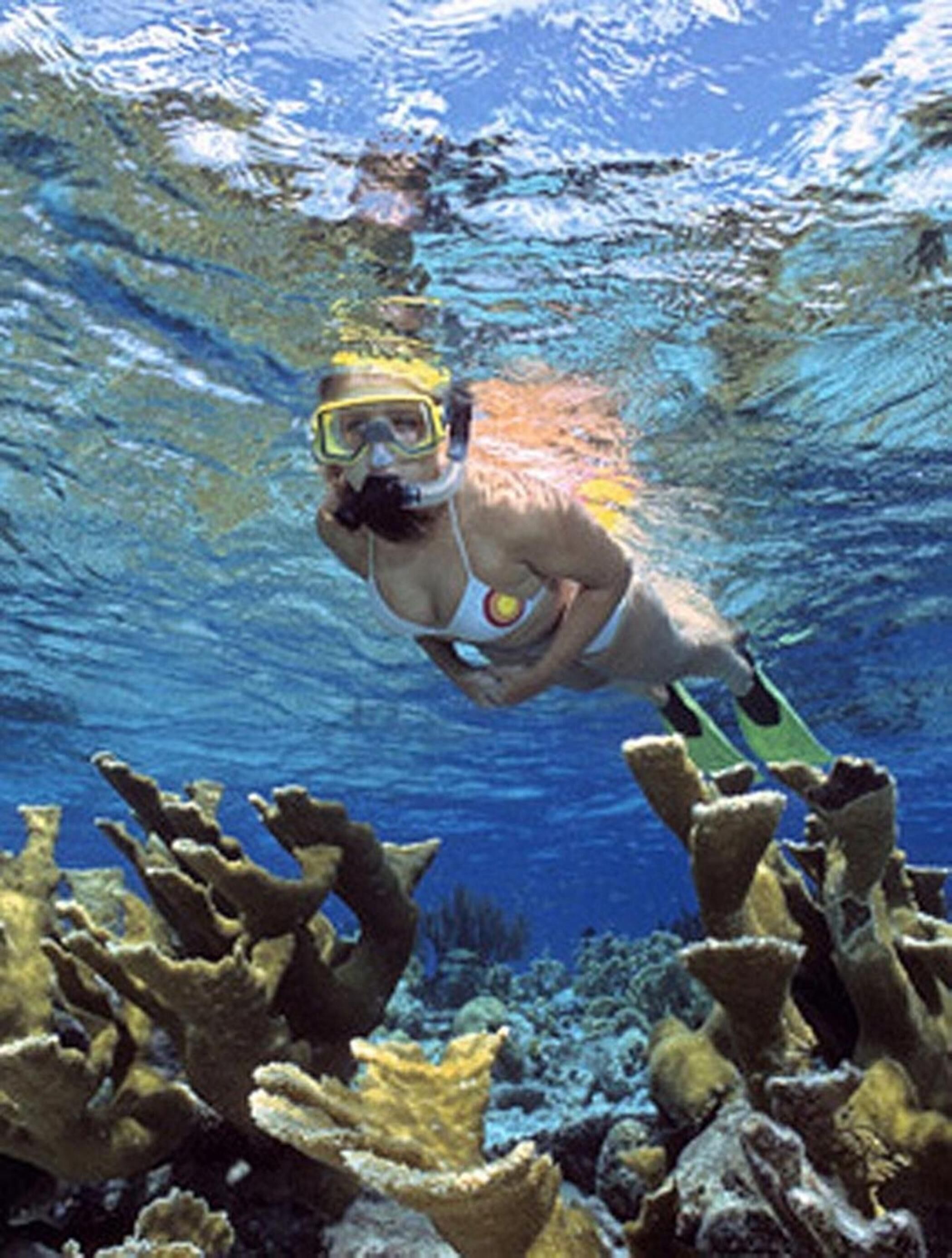 Un buceador bajo el agua junto a formaciones de coral.