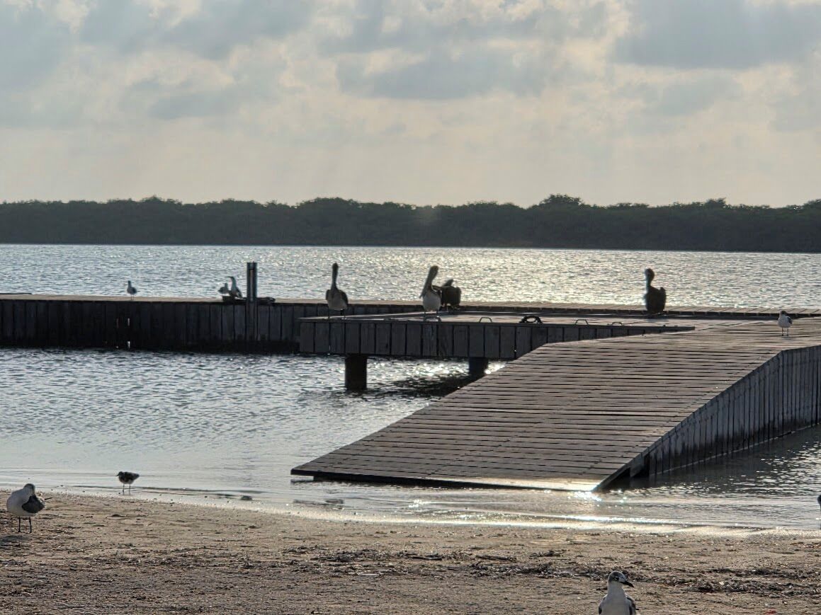 Ein Uferbereich mit einer Holzstege, der sich in ruhiges Wasser erstreckt, umgeben von einem Sandstrand und einer in der Ferne liegenden, bewaldeten Küste.