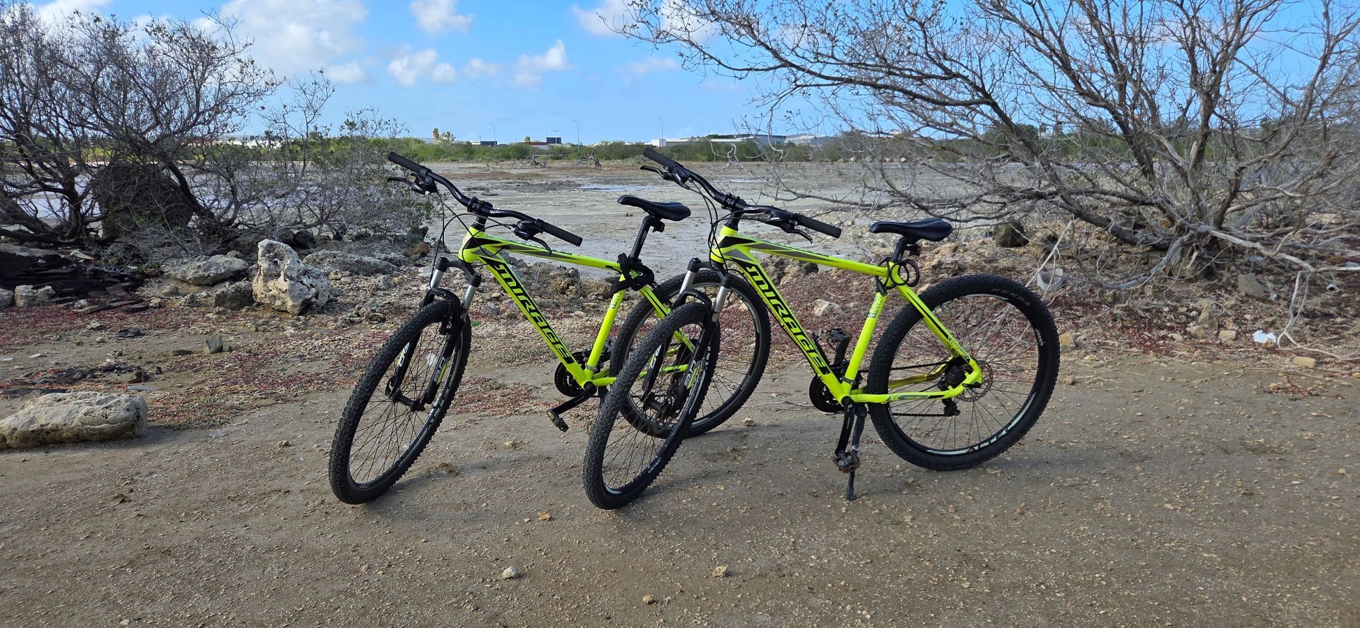 Twee mountainbikes geparkeerd op een onverhard pad, met schaarse begroeiing en een heldere lucht op de achtergrond.