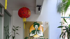 A massage clinic sign with a green and yellow logo, surrounded by potted plants.