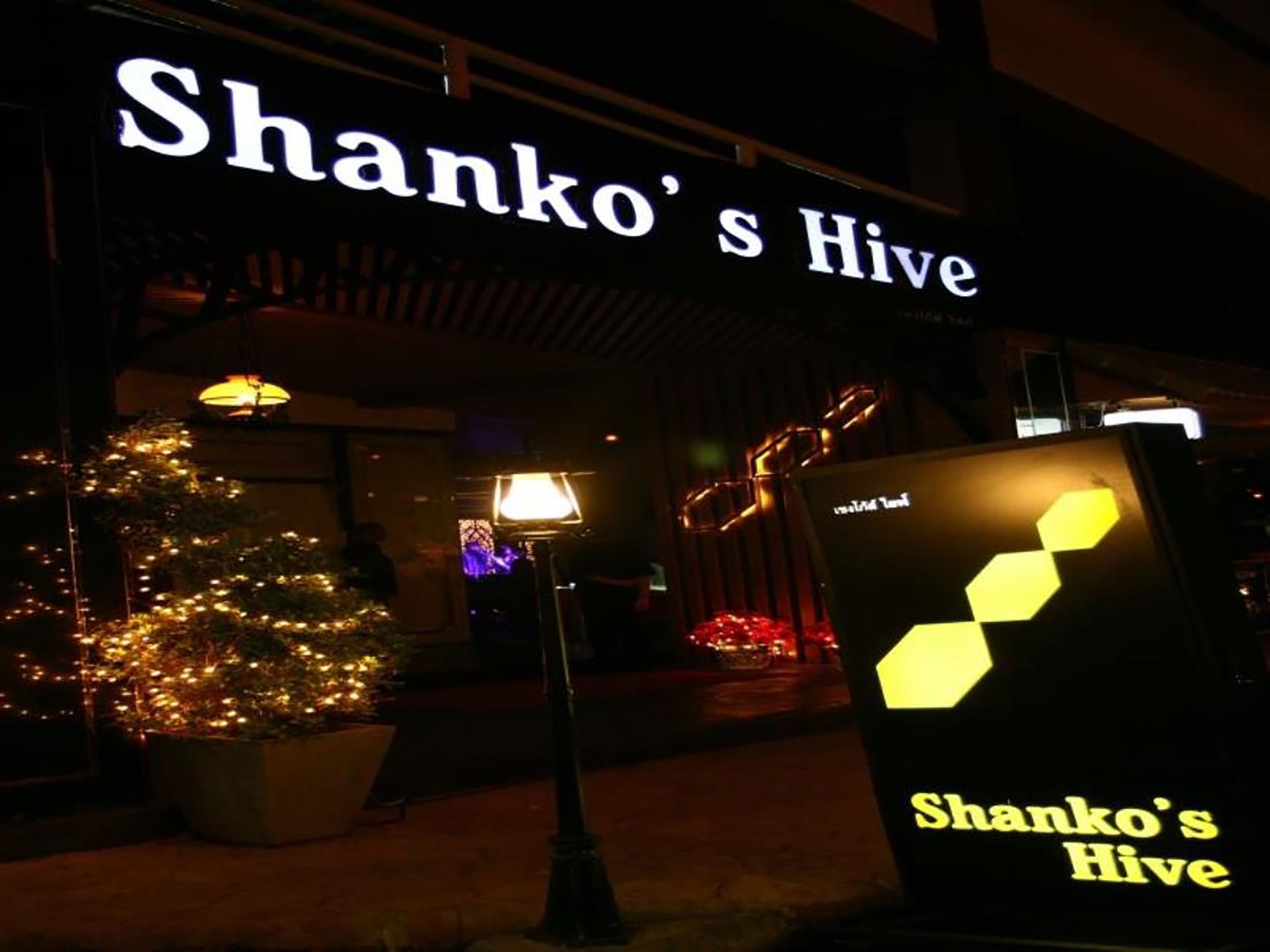Shanko's Hive with a Christmas tree and illuminated sign.