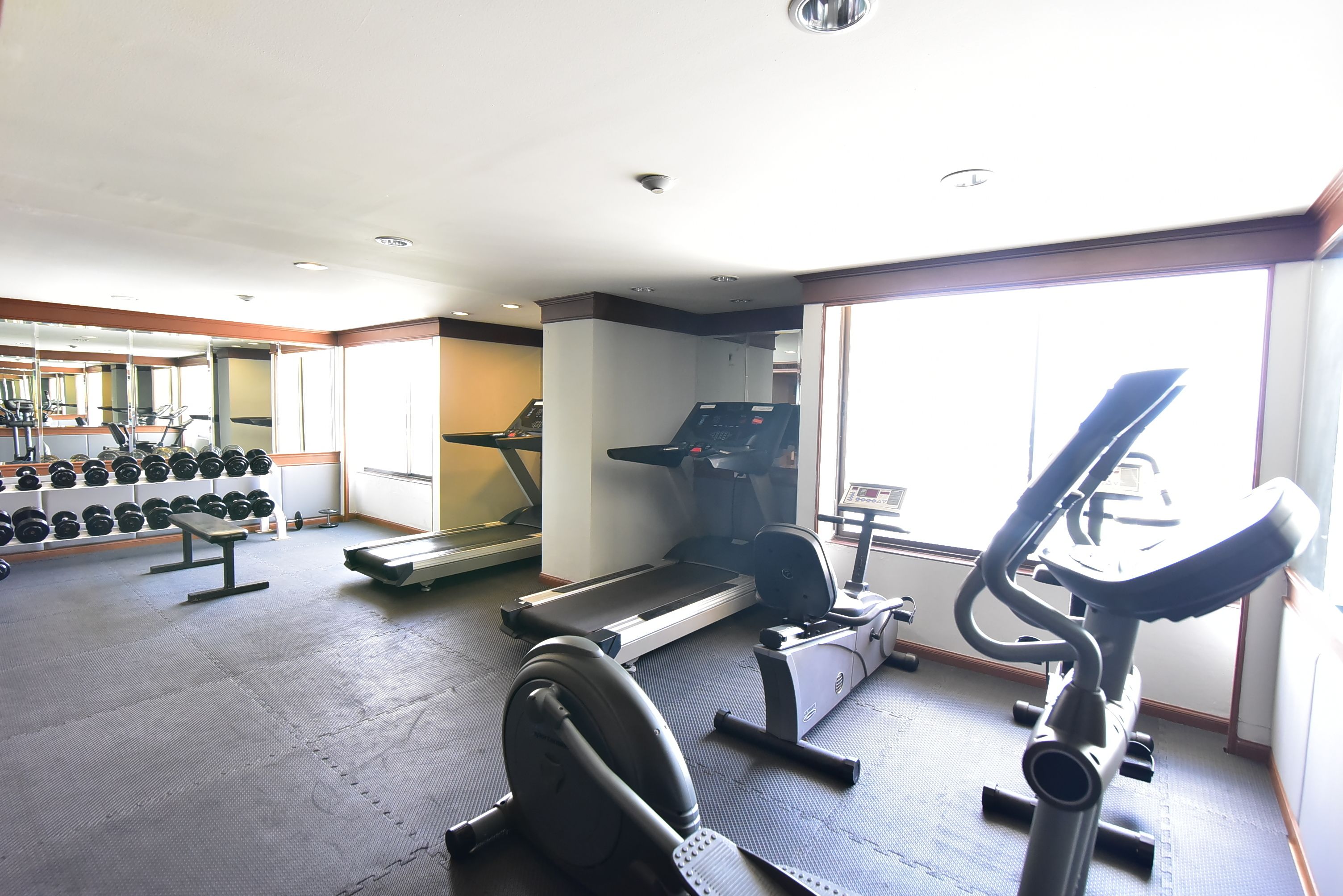 A gym with treadmills, elliptical machines, and a weight bench.