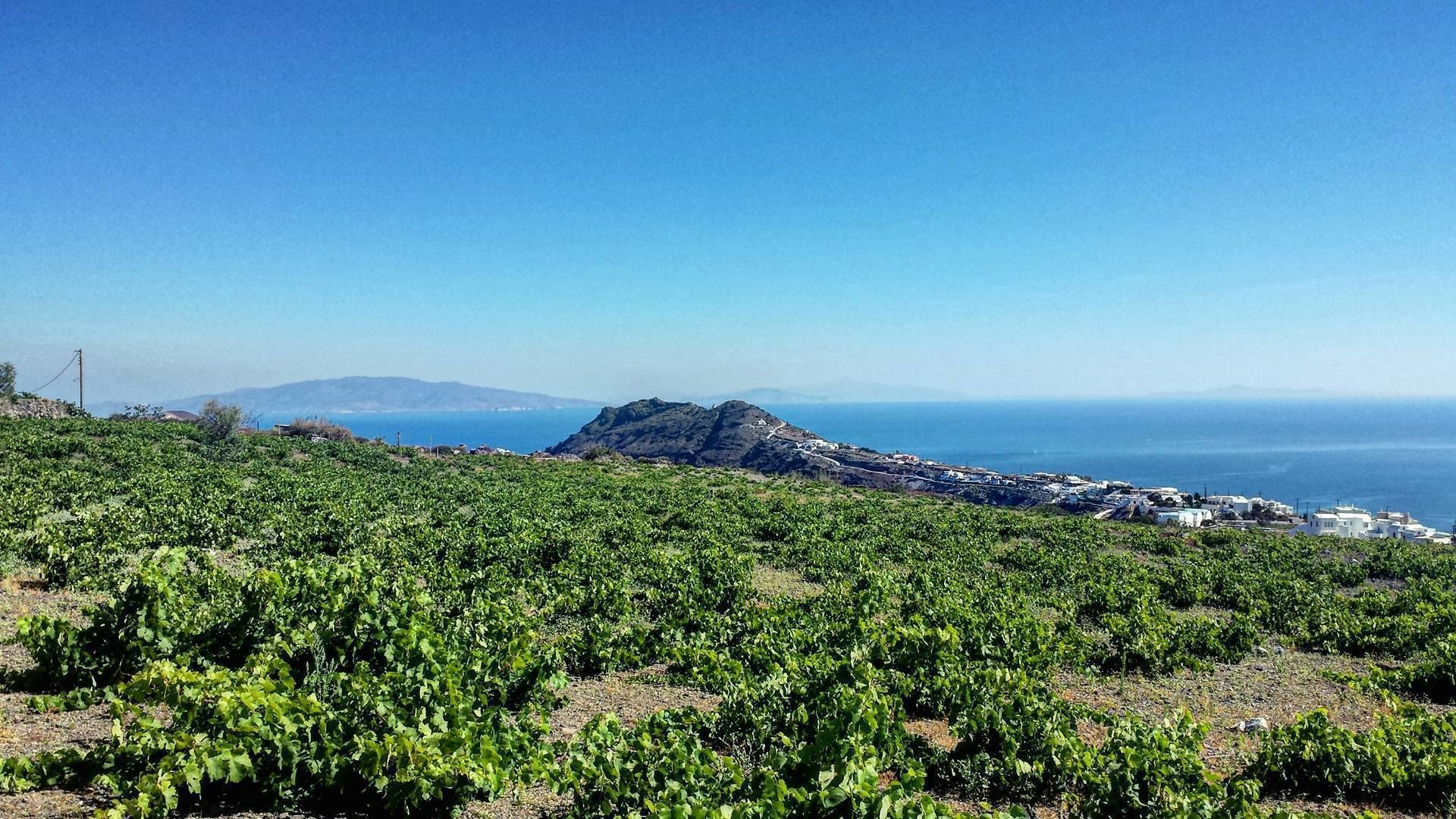 Foto - Villa Happening