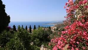 Un paisaje costero con vista al mar, vegetación exuberante y flores rosadas.