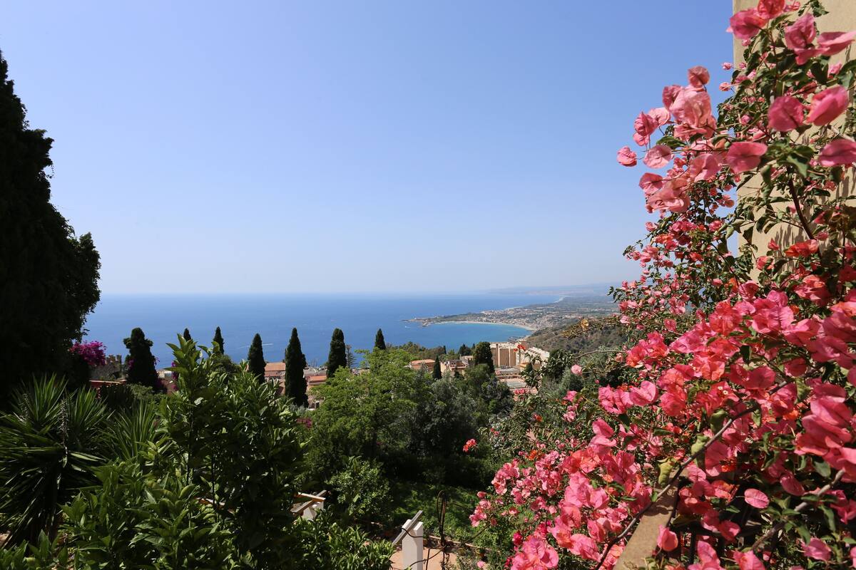 A coastal landscape with a view of the sea, lush greenery, and pink flowers.