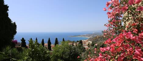 Suite, 1 queensize-seng, sjøutsikt, sjøvendt (Daphne Phelps) | Strand | Nær stranden