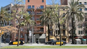 Un immeuble à plusieurs étages doté de balcons, de palmiers et de voitures garées.