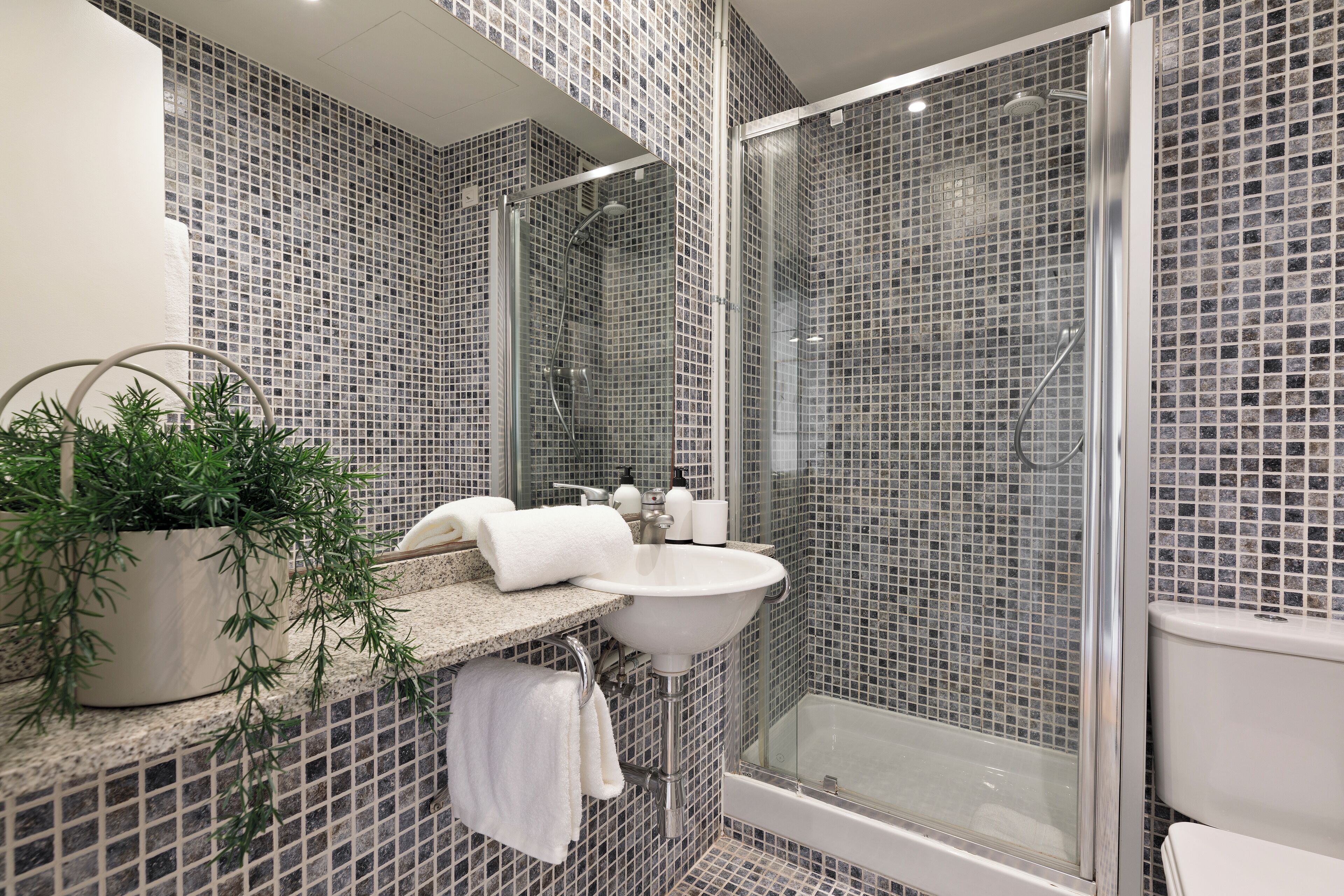 Een douche, een haardroger, handdoeken