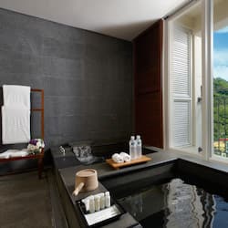 Separate bathtub and shower, spring water bathtub, rainfall showerhead