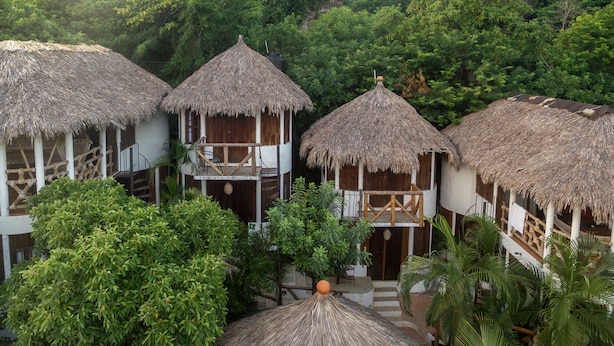 Un conjunto de bungalows con techo de paja rodeado de exuberante vegetación.