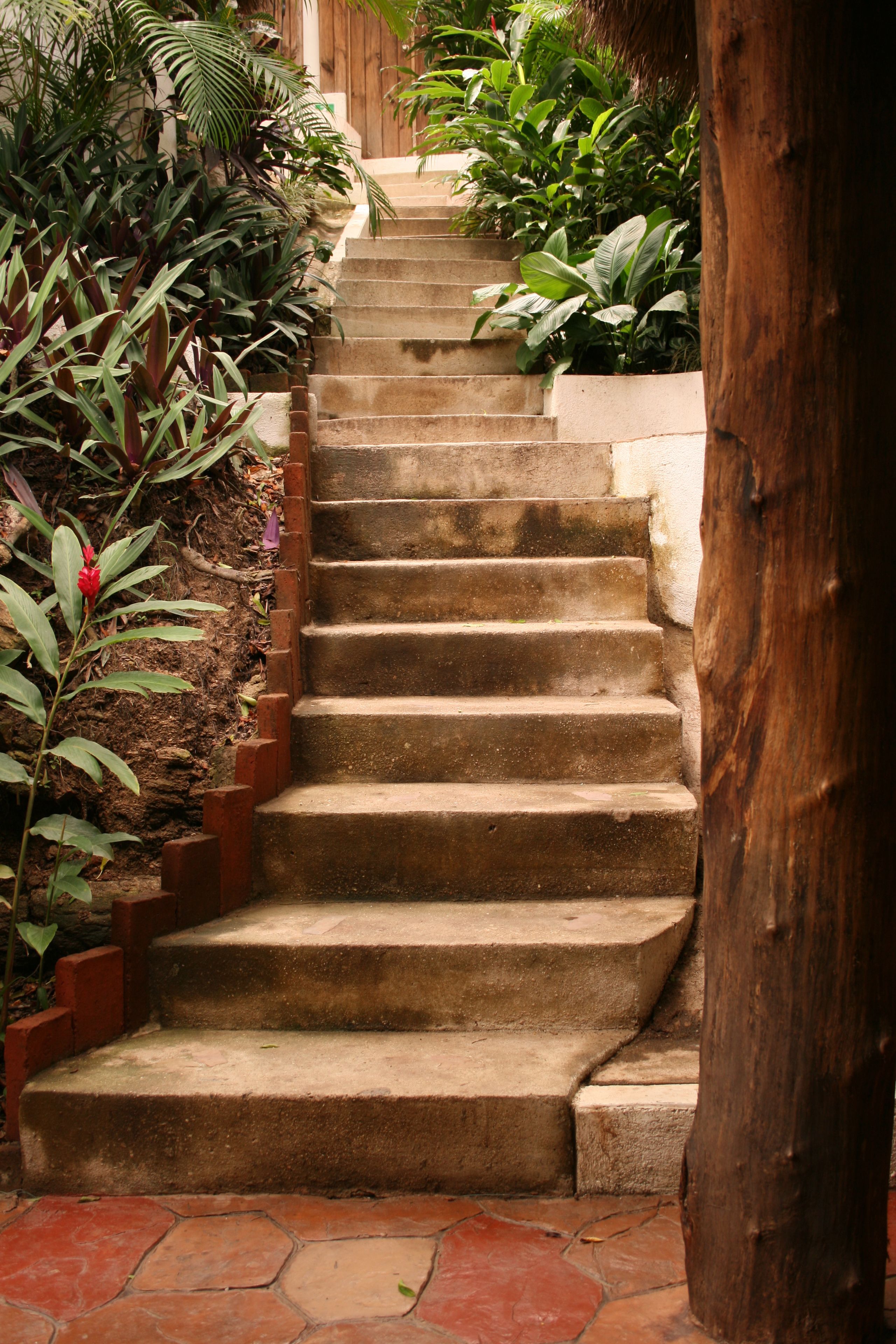 A set of stone steps leading up to a wooden door, surrounded by lush greenery.
