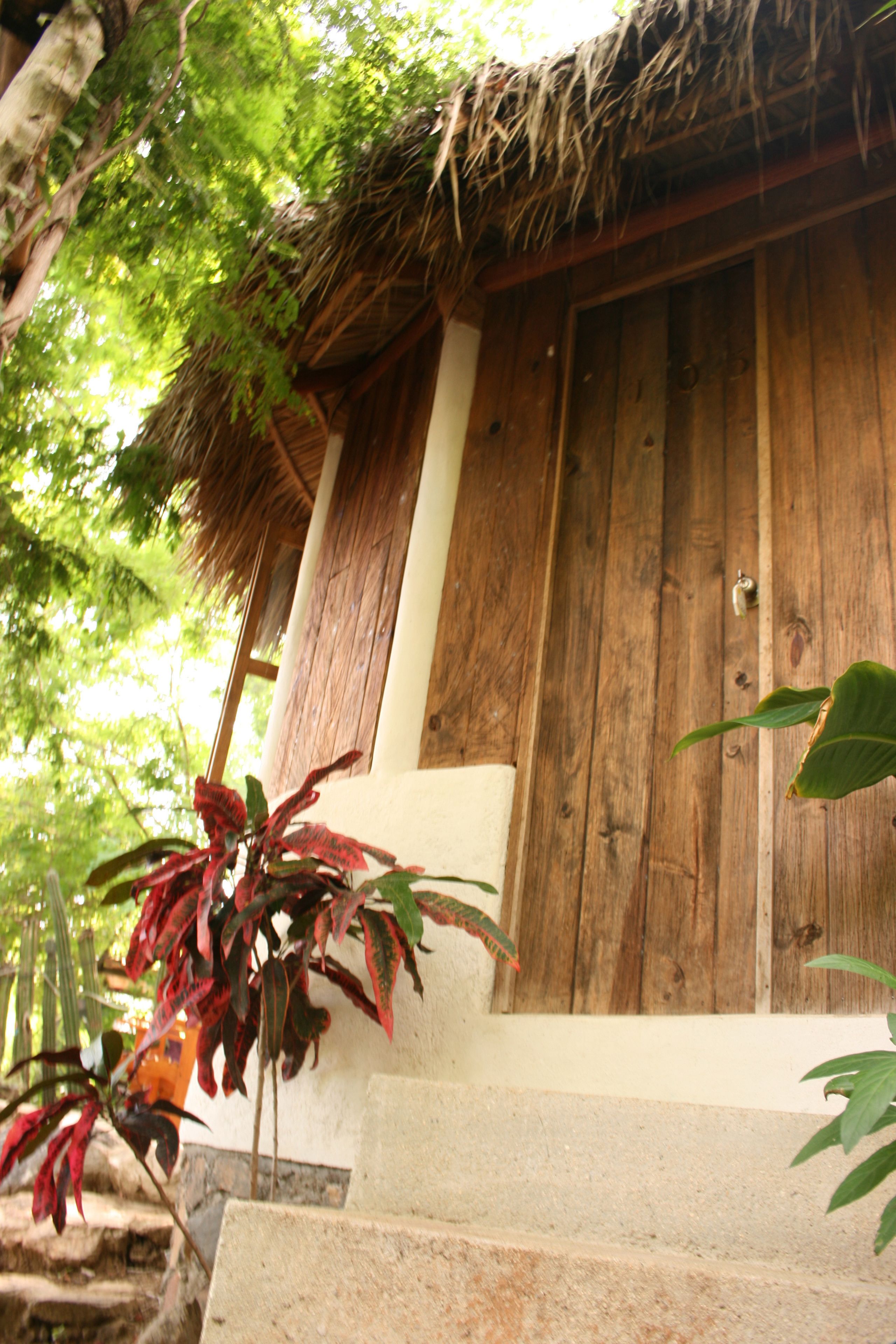 A wooden door with a metal handle, a thatched roof, and a concrete step leading to a white wall.