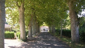 A tree-lined pathway leading to a building with a red roof.