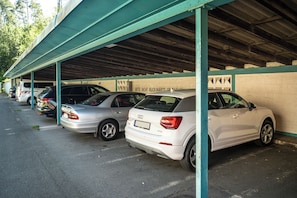 Free self-parking
