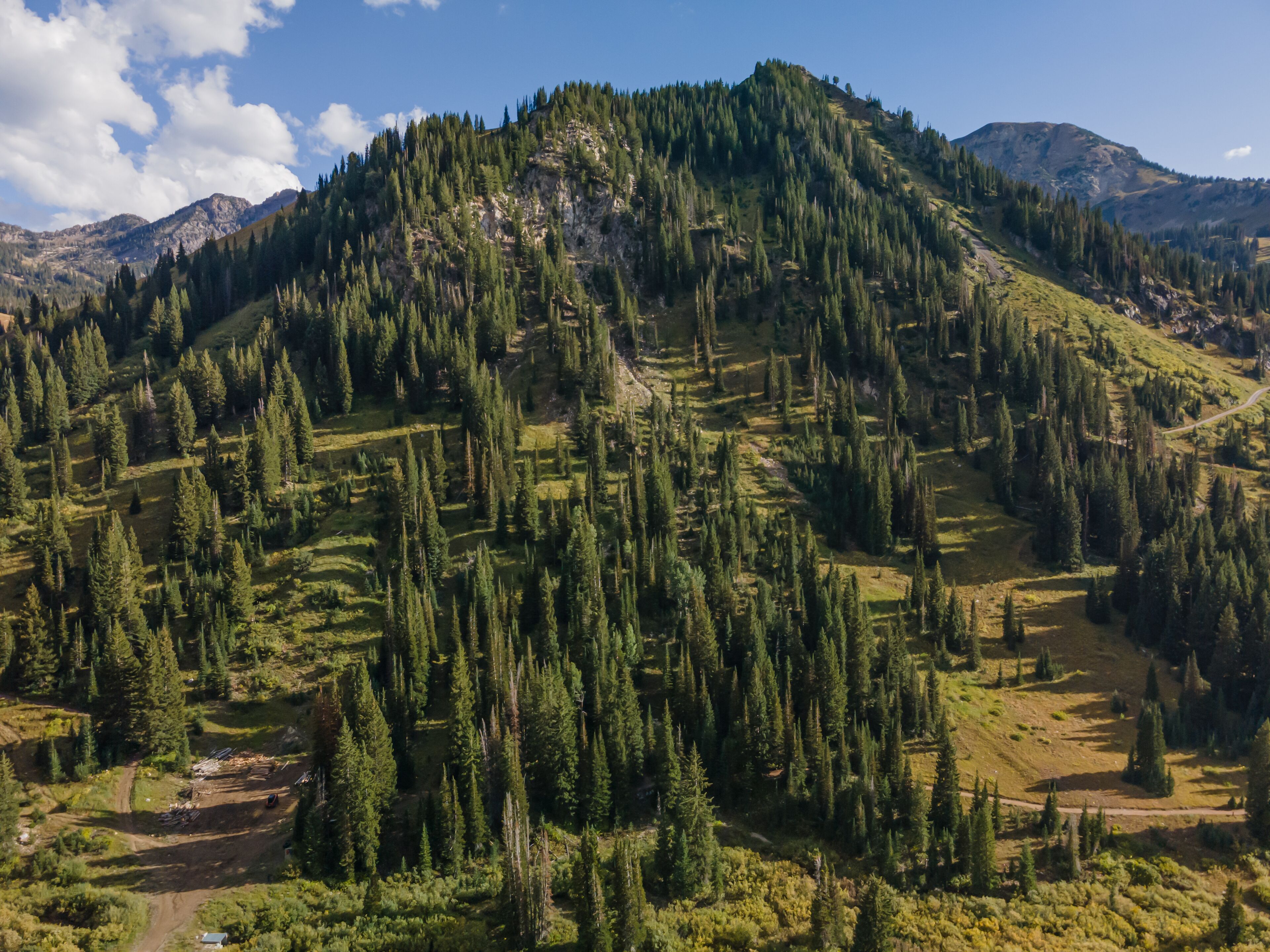 Un paisaje montañoso con bosques densos y un cielo despejado.