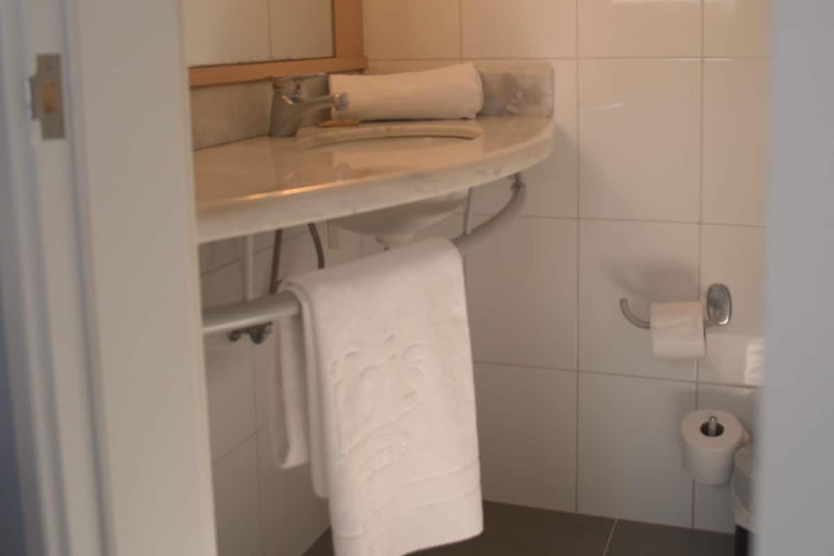 Standard-huone, 1 parisänky | Minibaari, tallelokero huoneessa, työpöytä, silitysrauta/-lauta