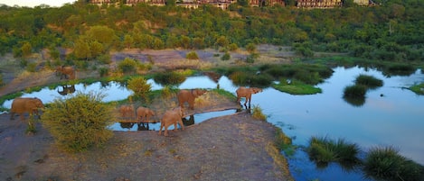 Áreas de la propiedad
