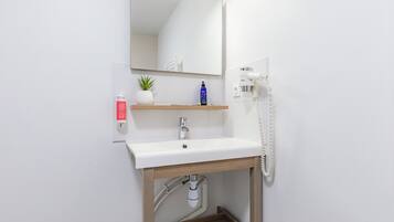 Une salle de bain avec un lavabo blanc, un miroir, une petite étagère avec une plante et une bouteille, et un sèche-cheveux fixé au mur.