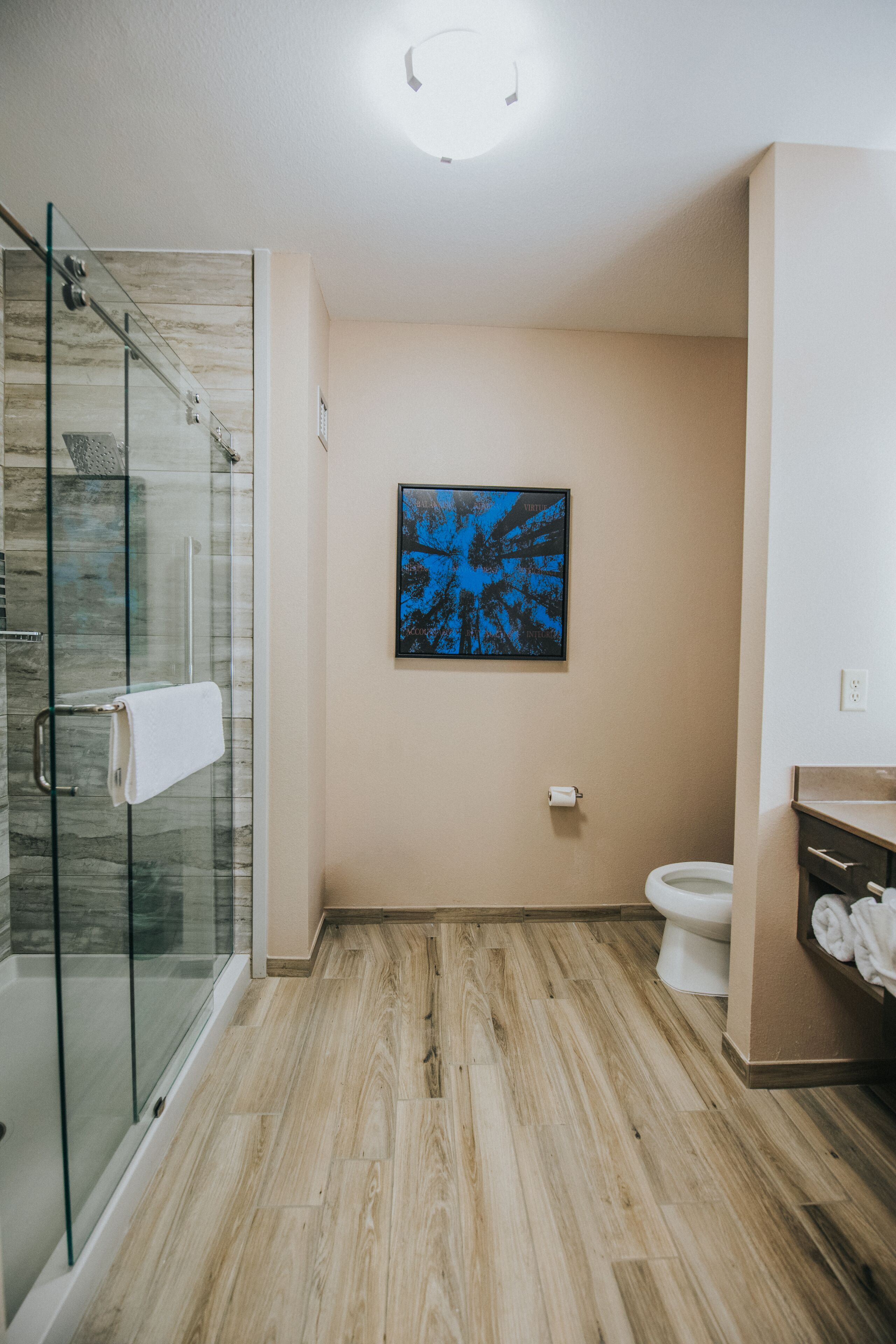 shower, free toiletries, hair dryer, towels