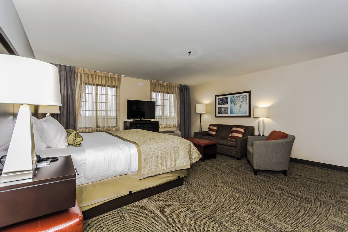Studio Suite, 1 King Bed, Kitchen | 10 bedrooms, premium bedding, down comforters, desk