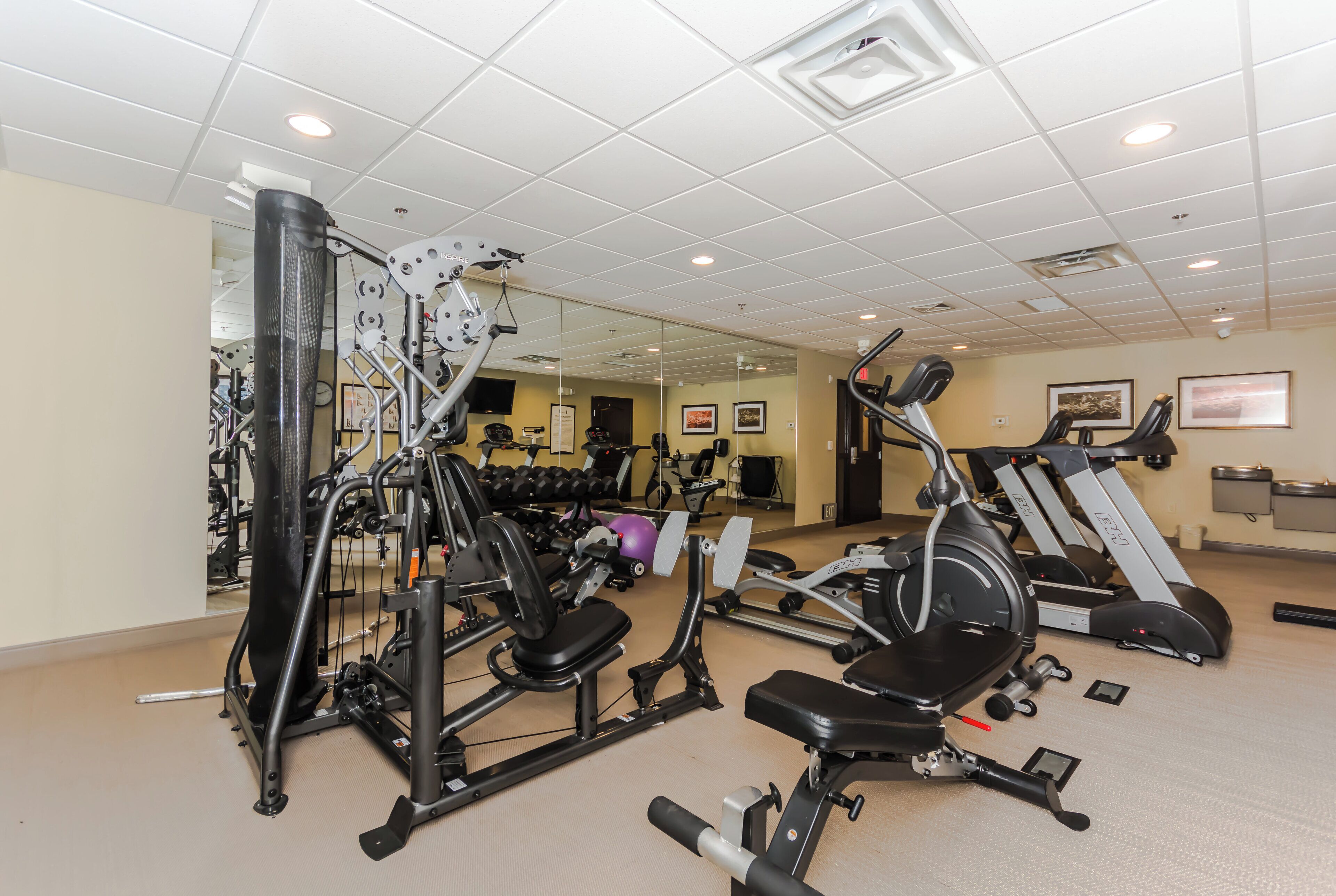 A gym with various exercise equipment, including treadmills and weight machines.