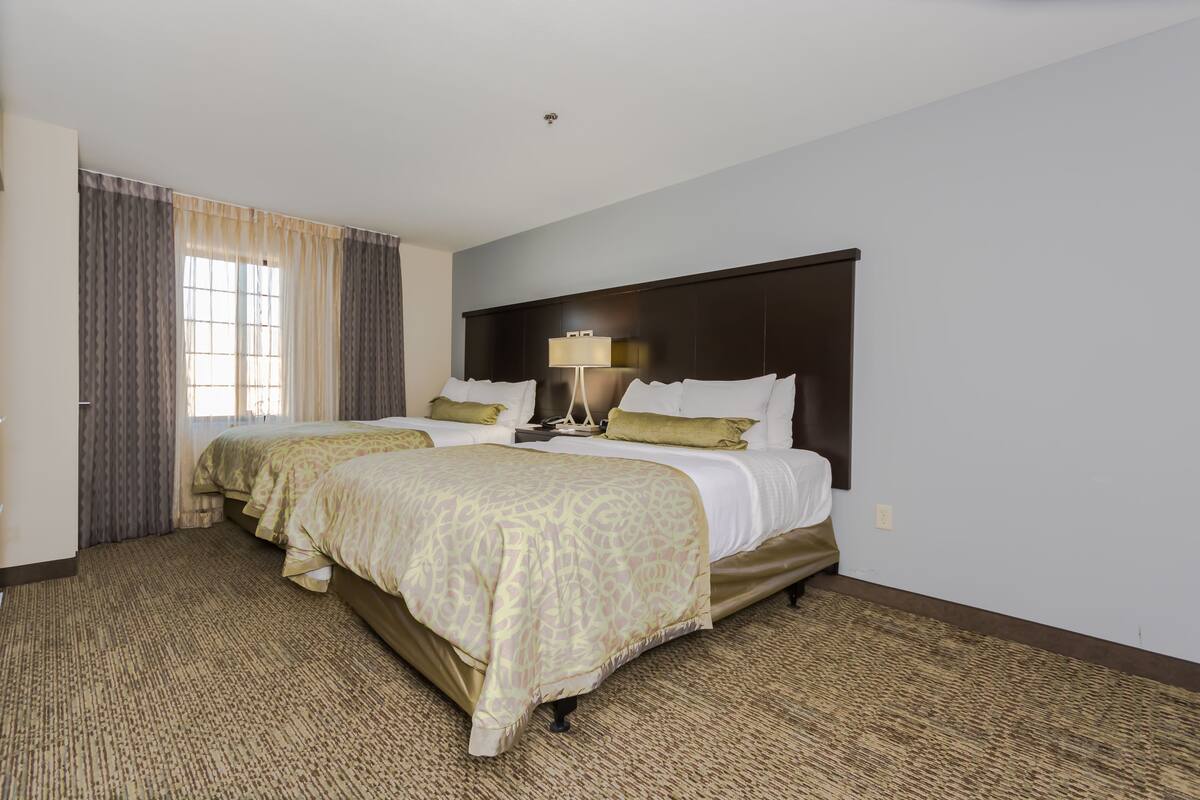 A hotel room with two beds, a large window with curtains, a bedside lamp, and a carpeted floor.