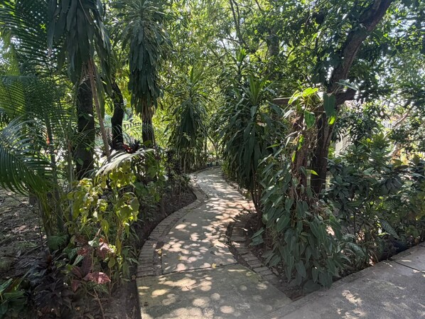 A narrow concrete pathway surrounded by dense tropical foliage. - Vangsavath Hotel (Luang Prabang)