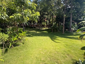 A well-maintained grassy area with various trees and shrubs, likely part of a garden or park setting.
