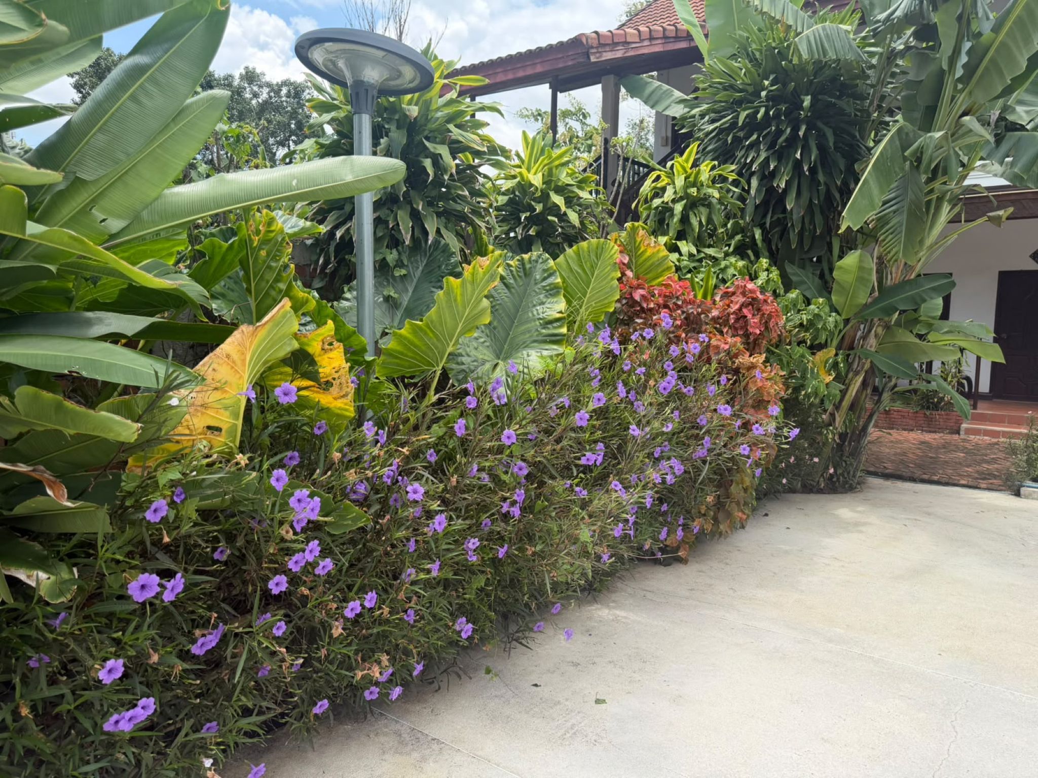 A garden with various plants and flowers, a pathway, and a building with a red roof in the background.