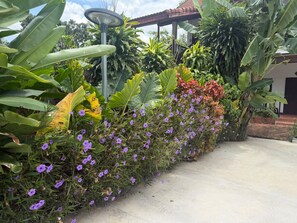 A garden with various plants and flowers, a pathway, and a building with a red roof in the background. - Vangsavath Hotel (Luang Prabang)
