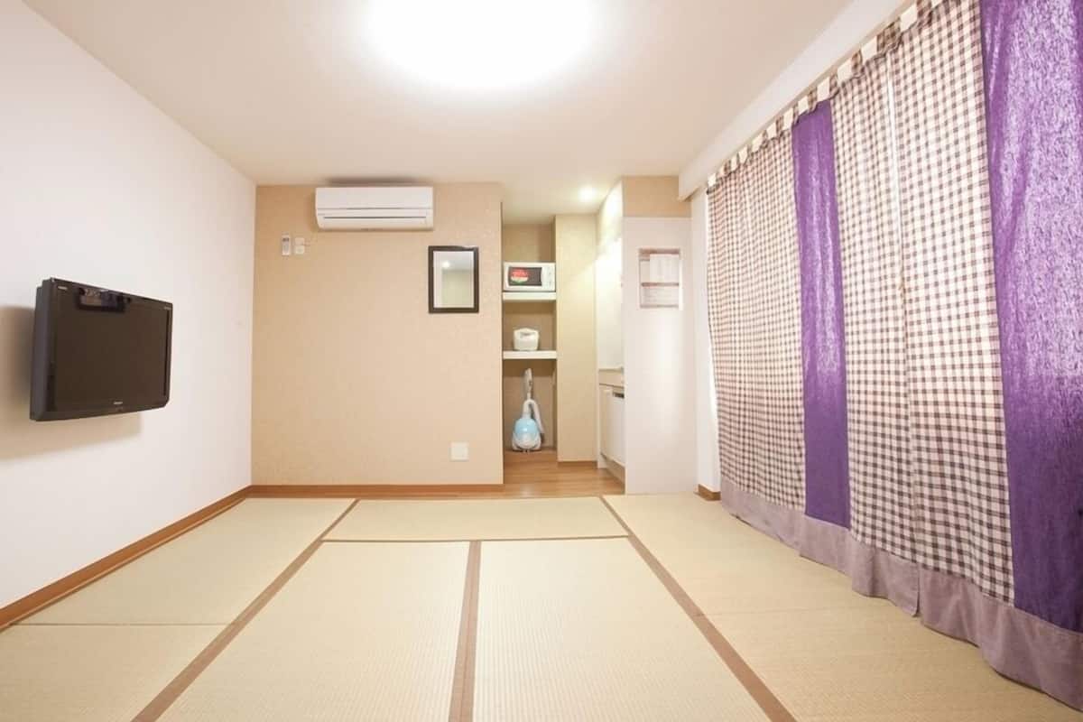 A room with tatami flooring, a mounted television, an air conditioning unit, and a checkered curtain.