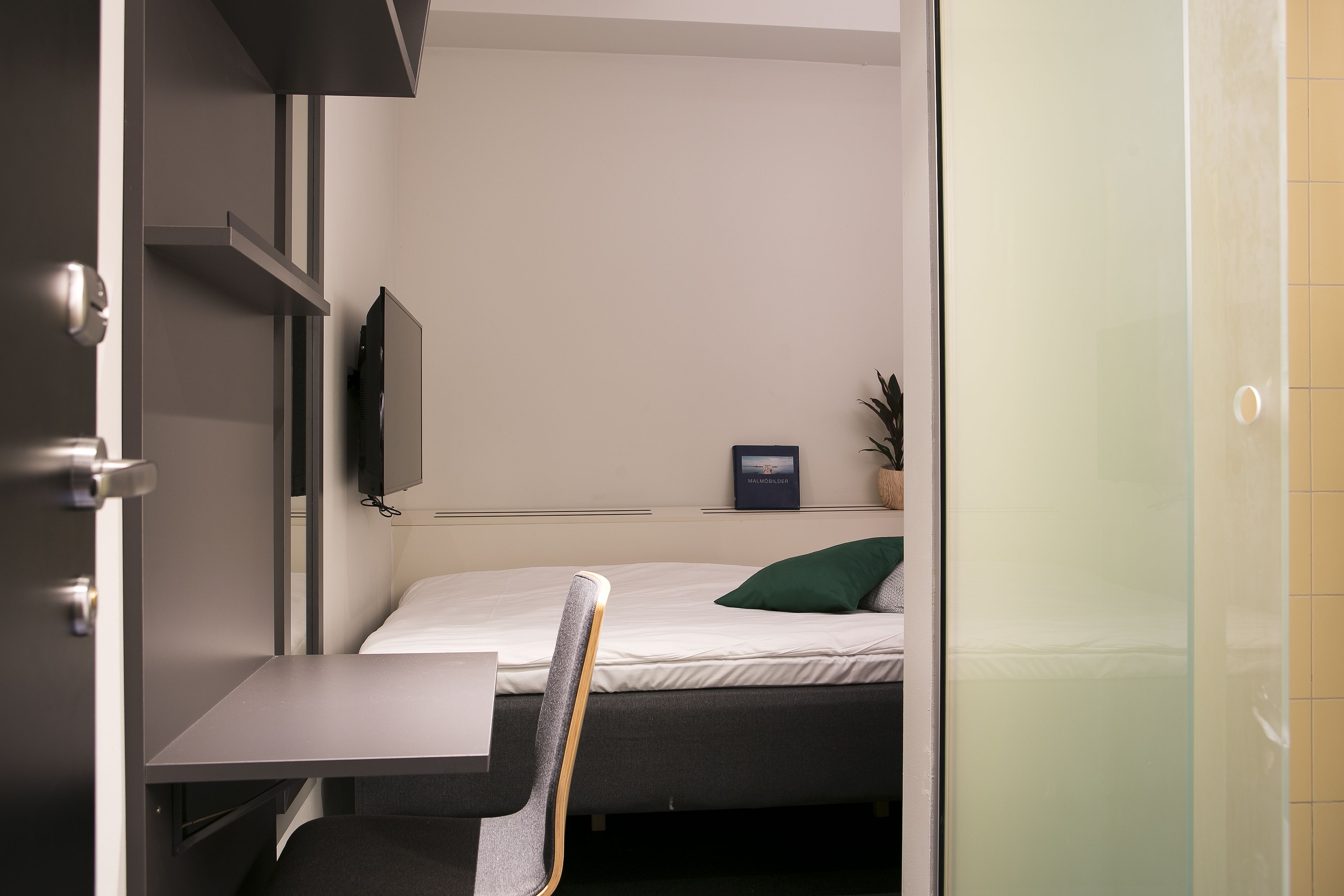 A compact room with a bed, a small table, a chair, a mounted TV, and a potted plant.