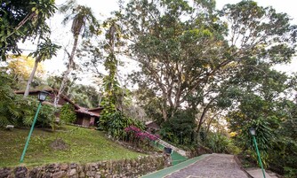 Un sendero en un jardín conduce a un edificio rústico con techo de paja, rodeado de abundante vegetación y árboles.