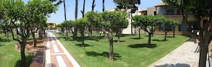 Jardim