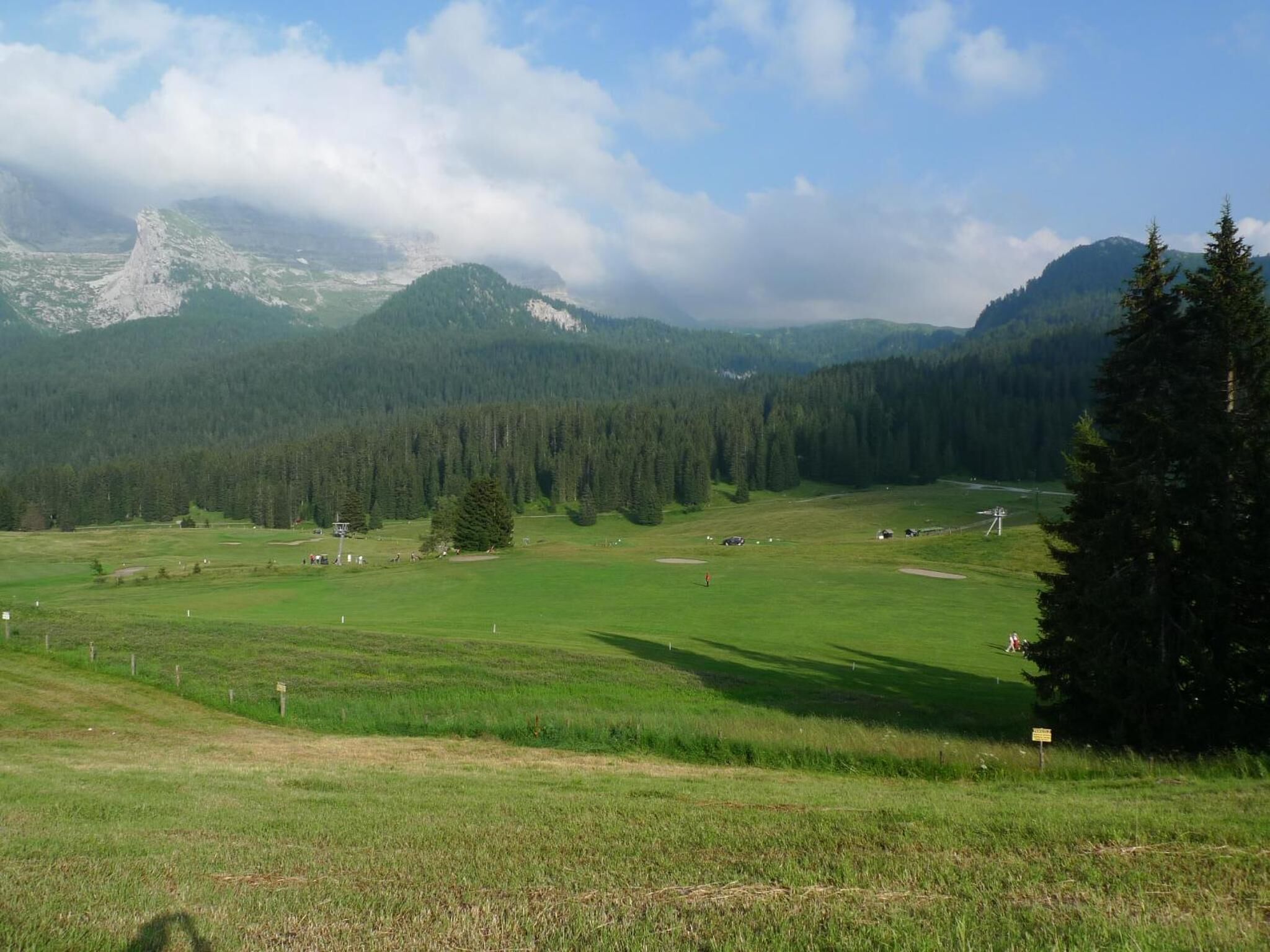 Un campo cubierto de hierba con una montaña al fondo y una zona boscosa a la derecha.