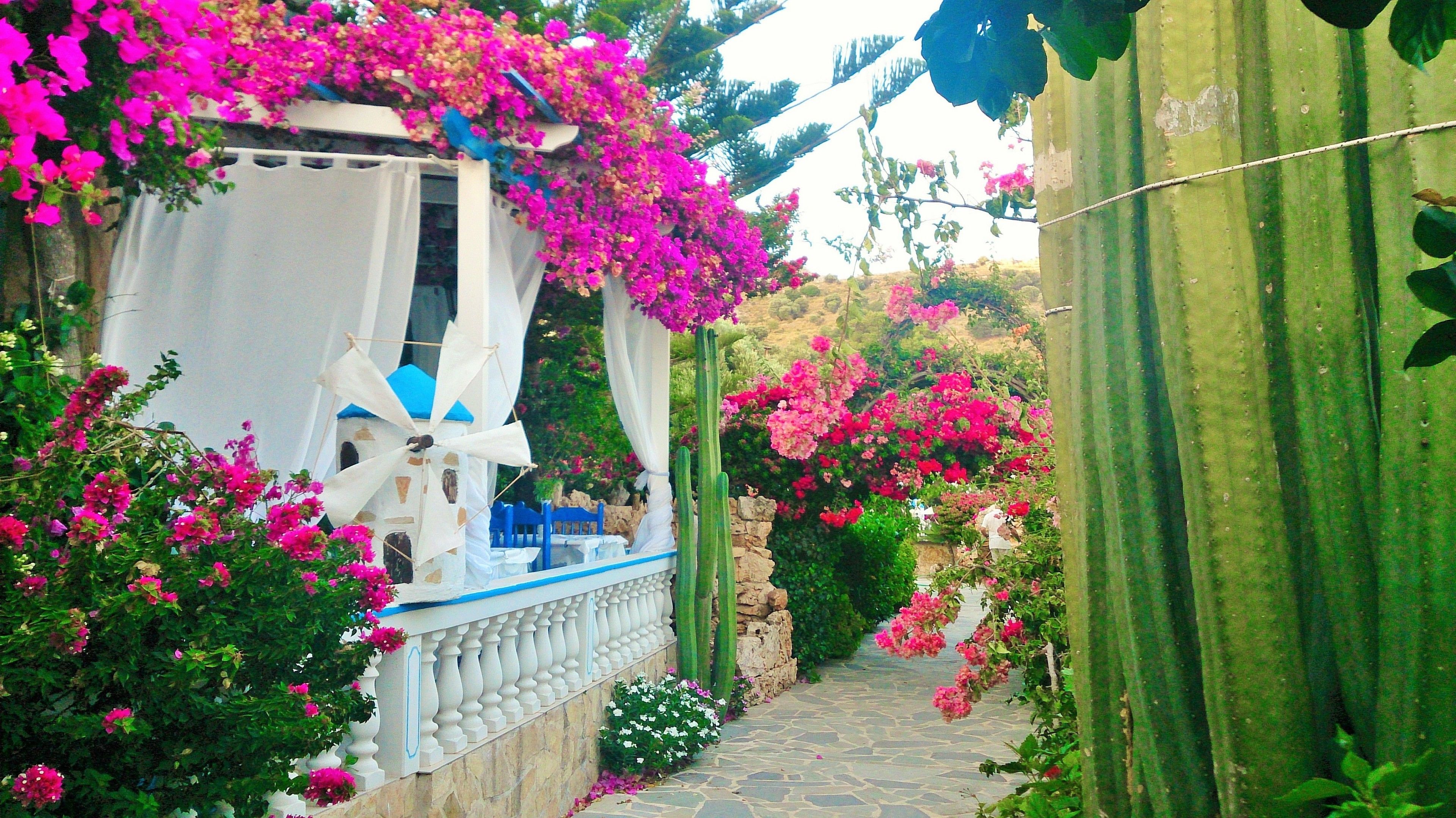 Enceinte de l’hébergement