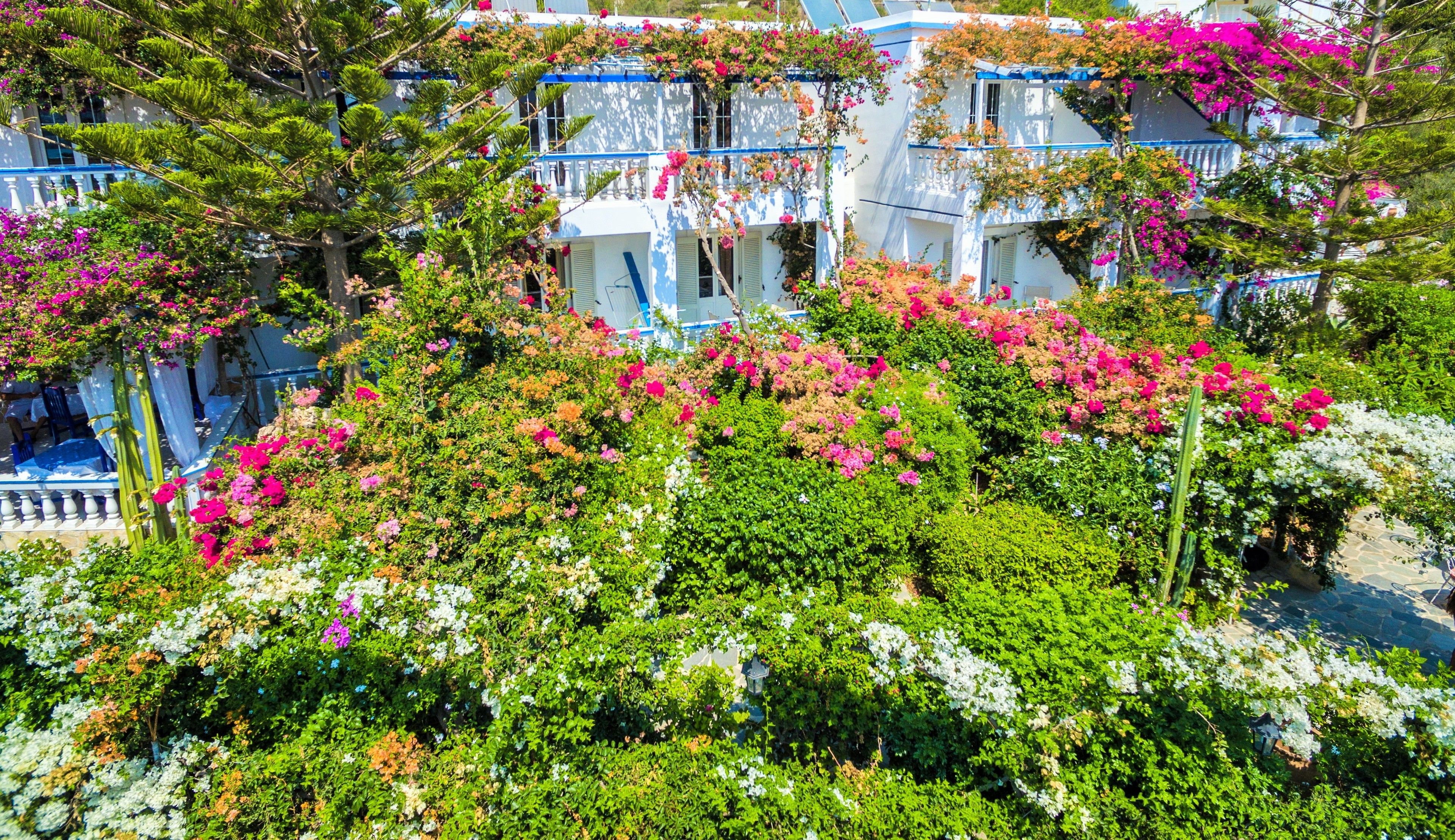 Comfort-Zweibettzimmer, Gartenblick | Blick auf den Garten
