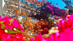 A building with balconies adorned with vibrant flowers and a clear blue sky in the background. - Angelika (Leros)