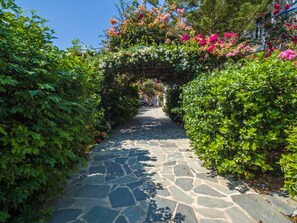 Vista frontal de la propiedad