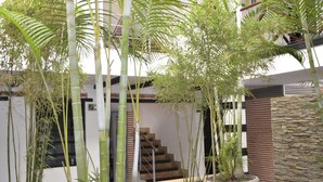 Een modern interieur met een trap, bamboe planten en een stenen muur.