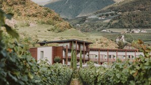 Viñedo con hileras de vides que conducen a un edificio de diseño moderno, rodeado de colinas y un cielo nublado.