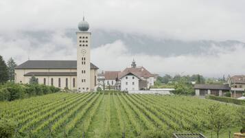 A large building with a tower, surrounded by well-maintained vineyards and a swimming pool.